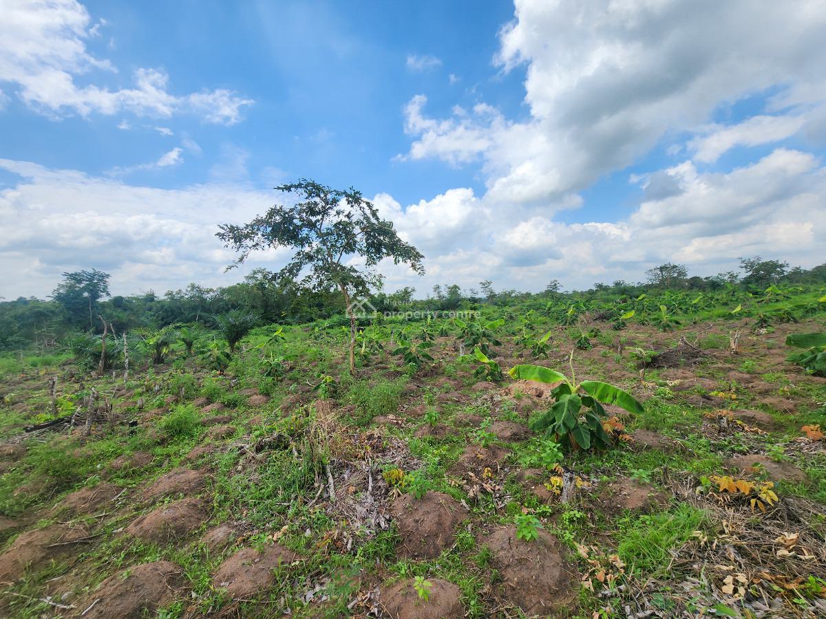 Own Productive Farmland Suitable for Plantain Farming, Off Funaab, Alabata Road, Odeda, Ogun, Mixed-use Land for Sale