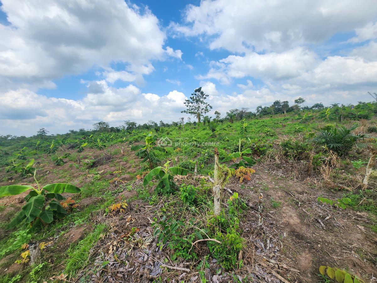 Own Productive Farmland Suitable for Plantain Farming, Off Funaab, Alabata Road, Odeda, Ogun, Mixed-use Land for Sale