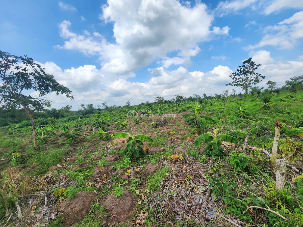 Own Productive Farmland Suitable for Plantain Farming, Off Funaab, Alabata Road, Odeda, Ogun, Mixed-use Land for Sale