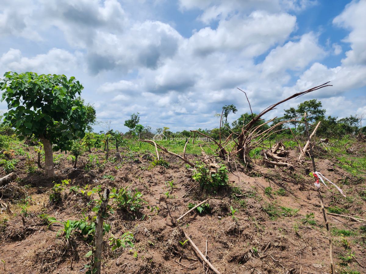 Get Your Own Farmland and Start Cultivating Cashew, Off Funaab, Alabata Road, Odeda, Ogun, Mixed-use Land for Sale
