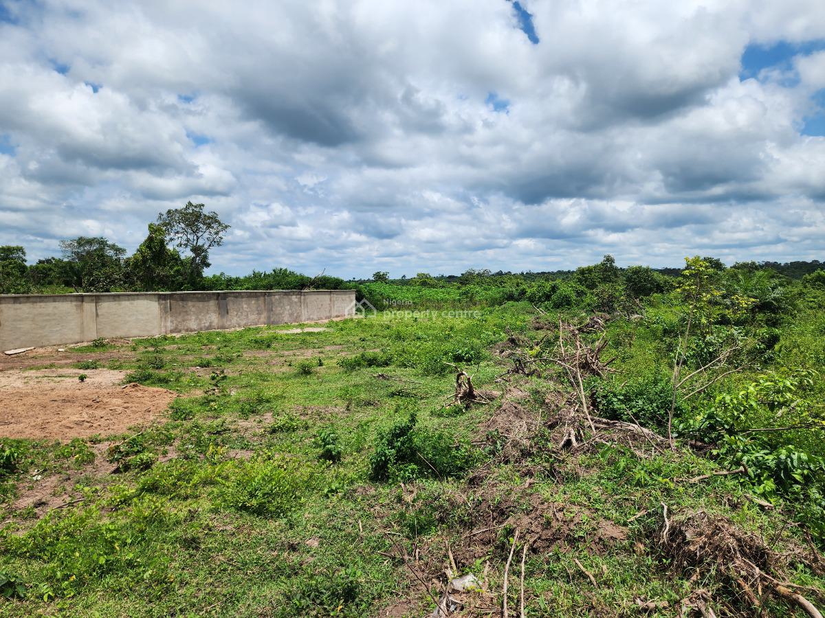 Acres of Farmland with a Promo Offer Suitable for Oil Palm Plantation, Off Funaab, Alabata Road, Odeda, Ogun, Mixed-use Land for Sale