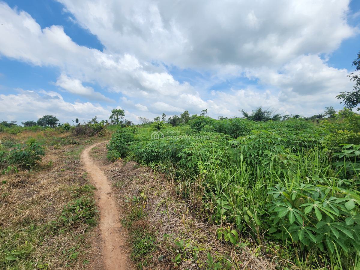 Own Productive Farmland Suitable for Cassava Farming, Off Funaab, Alabata Road, Odeda, Ogun, Mixed-use Land for Sale