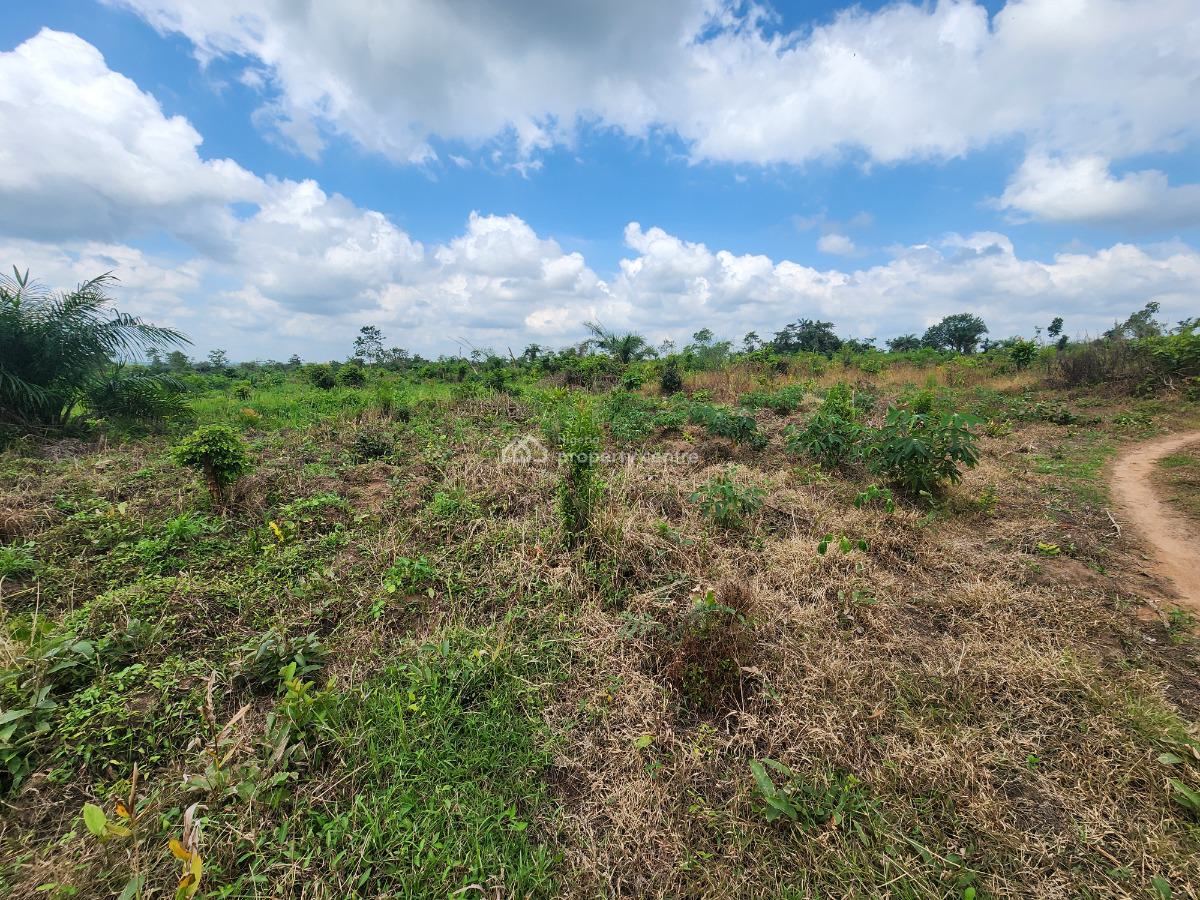 Own Productive Farmland Suitable for Cassava Farming, Off Funaab, Alabata Road, Odeda, Ogun, Mixed-use Land for Sale