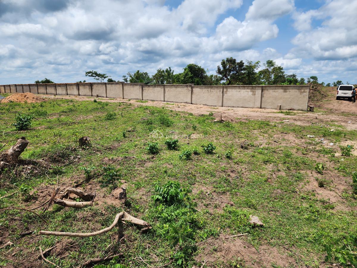 Own Affordable, Fertile Farmland Ideal for Cashew Farming, Off Funaab, Alabata Road, Odeda, Ogun, Mixed-use Land for Sale