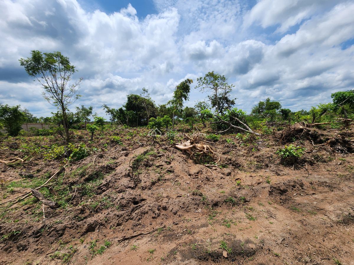 Own Affordable, Fertile Farmland Ideal for Cashew Farming, Off Funaab, Alabata Road, Odeda, Ogun, Mixed-use Land for Sale