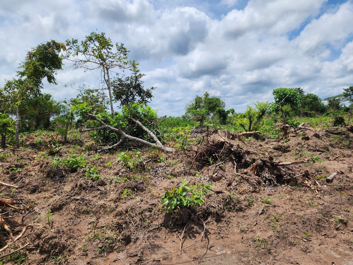 Get Your Own Farmland and Start Cultivating Cocoa, Off Funaab, Alabata Road, Odeda, Ogun, Mixed-use Land for Sale