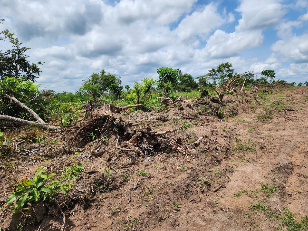 Get Your Own Farmland and Start Cultivating Cocoa, Off Funaab, Alabata Road, Odeda, Ogun, Mixed-use Land for Sale