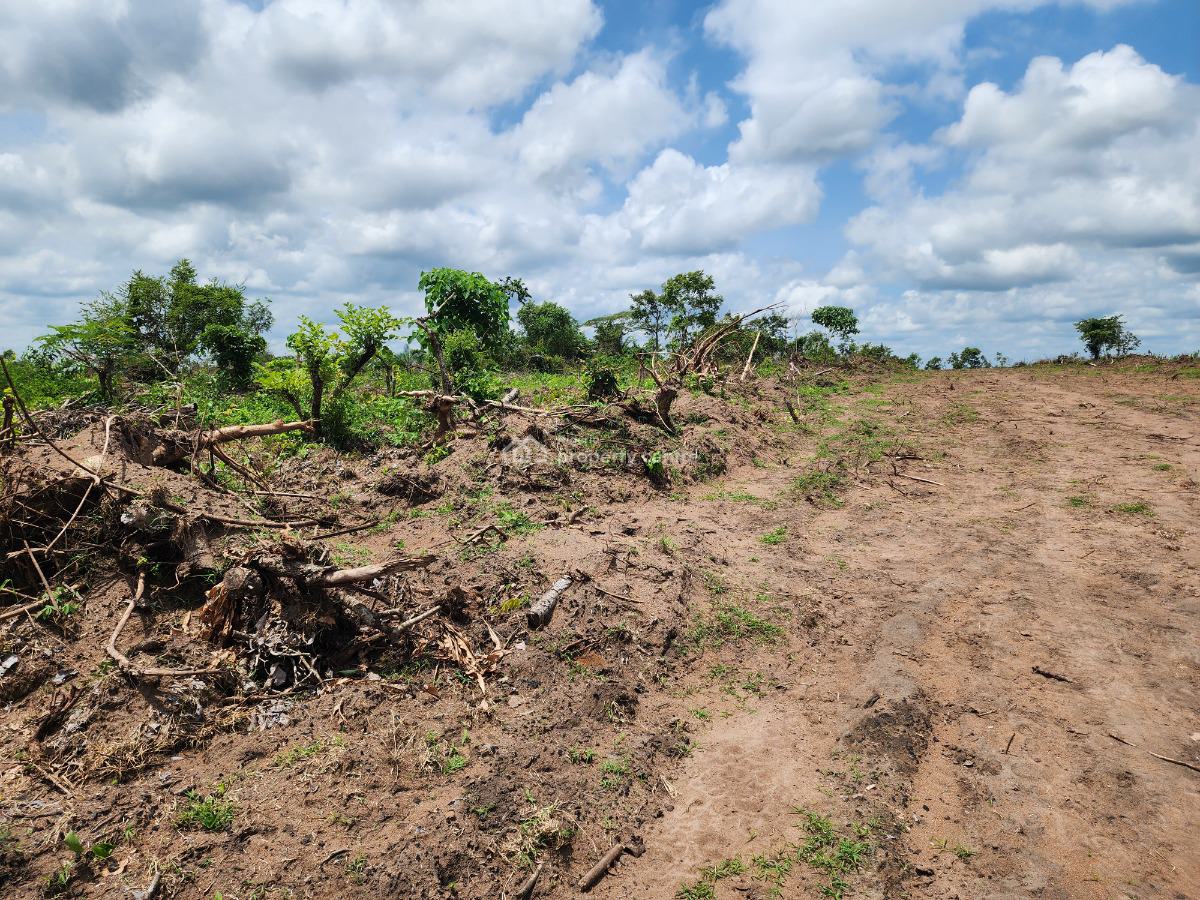 Get Your Own Farmland and Start Cultivating Cocoa, Off Funaab, Alabata Road, Odeda, Ogun, Mixed-use Land for Sale