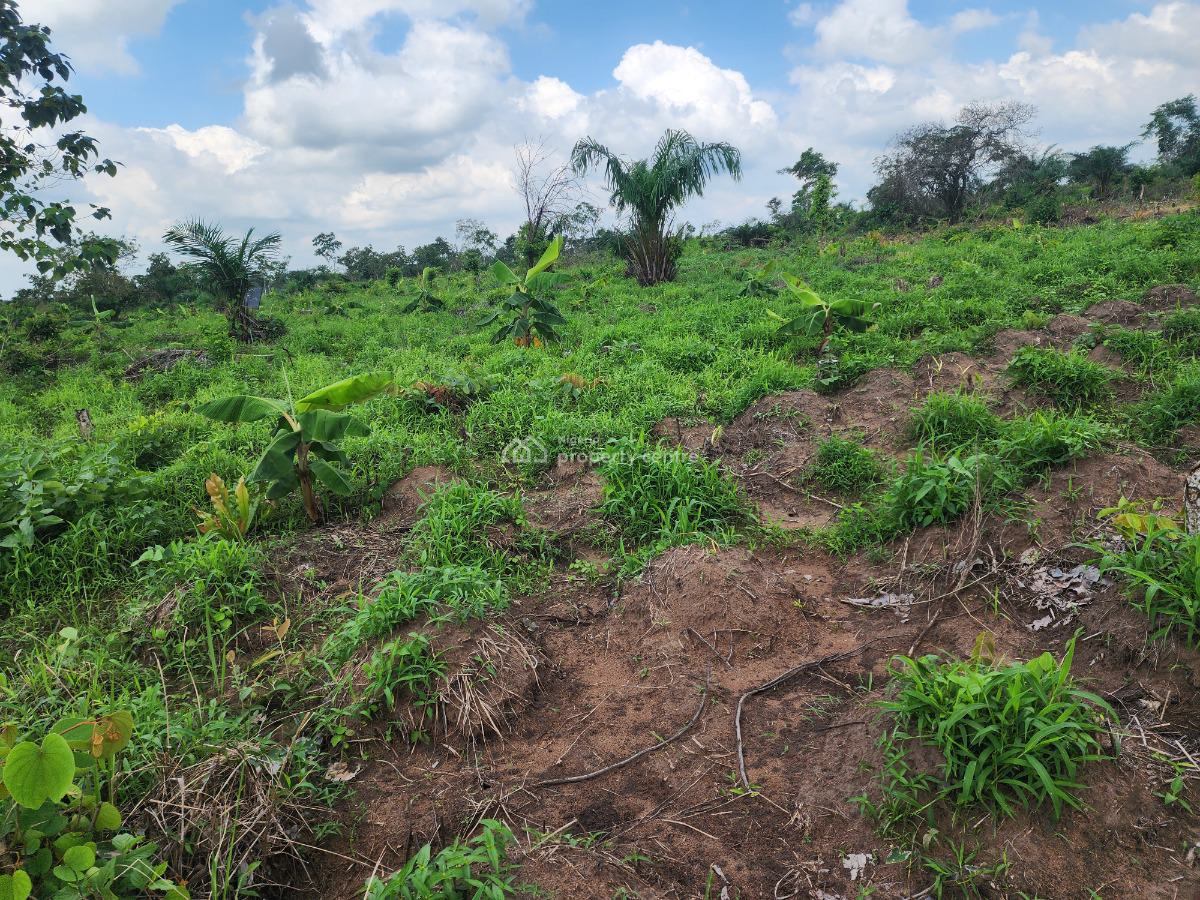 Own Acres of 100% Fertile Land Suitable for Plantain Farming, Off Funaab, Alabata Road, Odeda, Ogun, Mixed-use Land for Sale