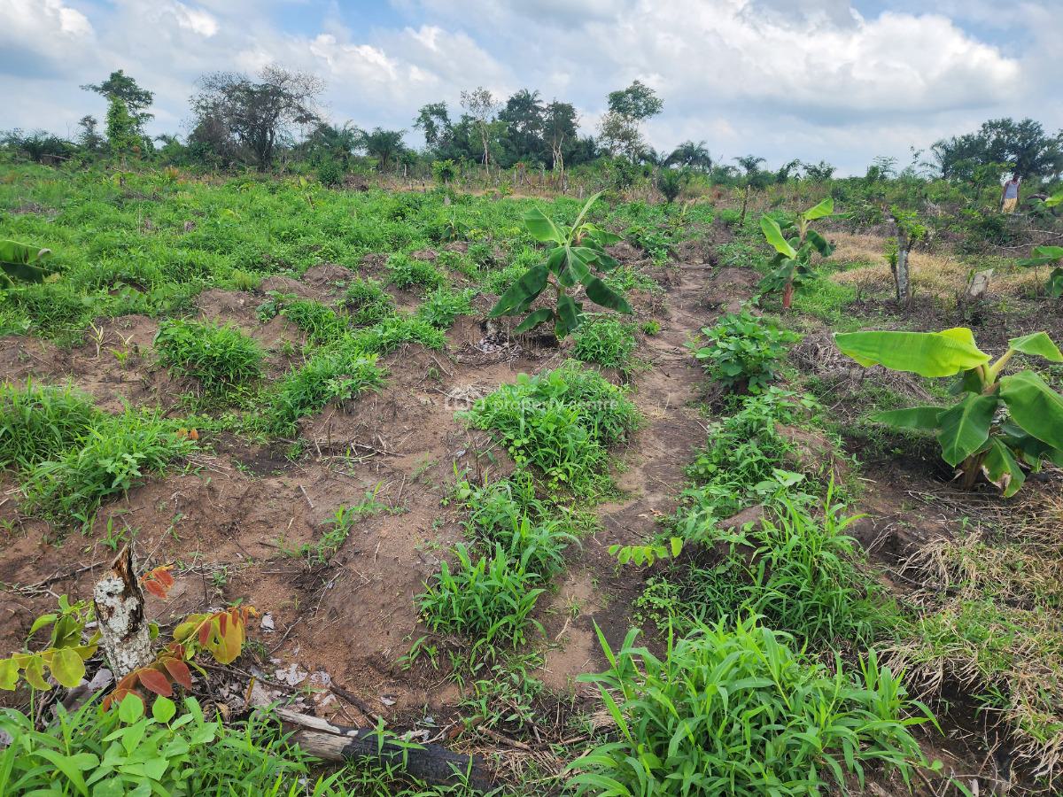 Own Acres of 100% Fertile Land Suitable for Plantain Farming, Off Funaab, Alabata Road, Odeda, Ogun, Mixed-use Land for Sale