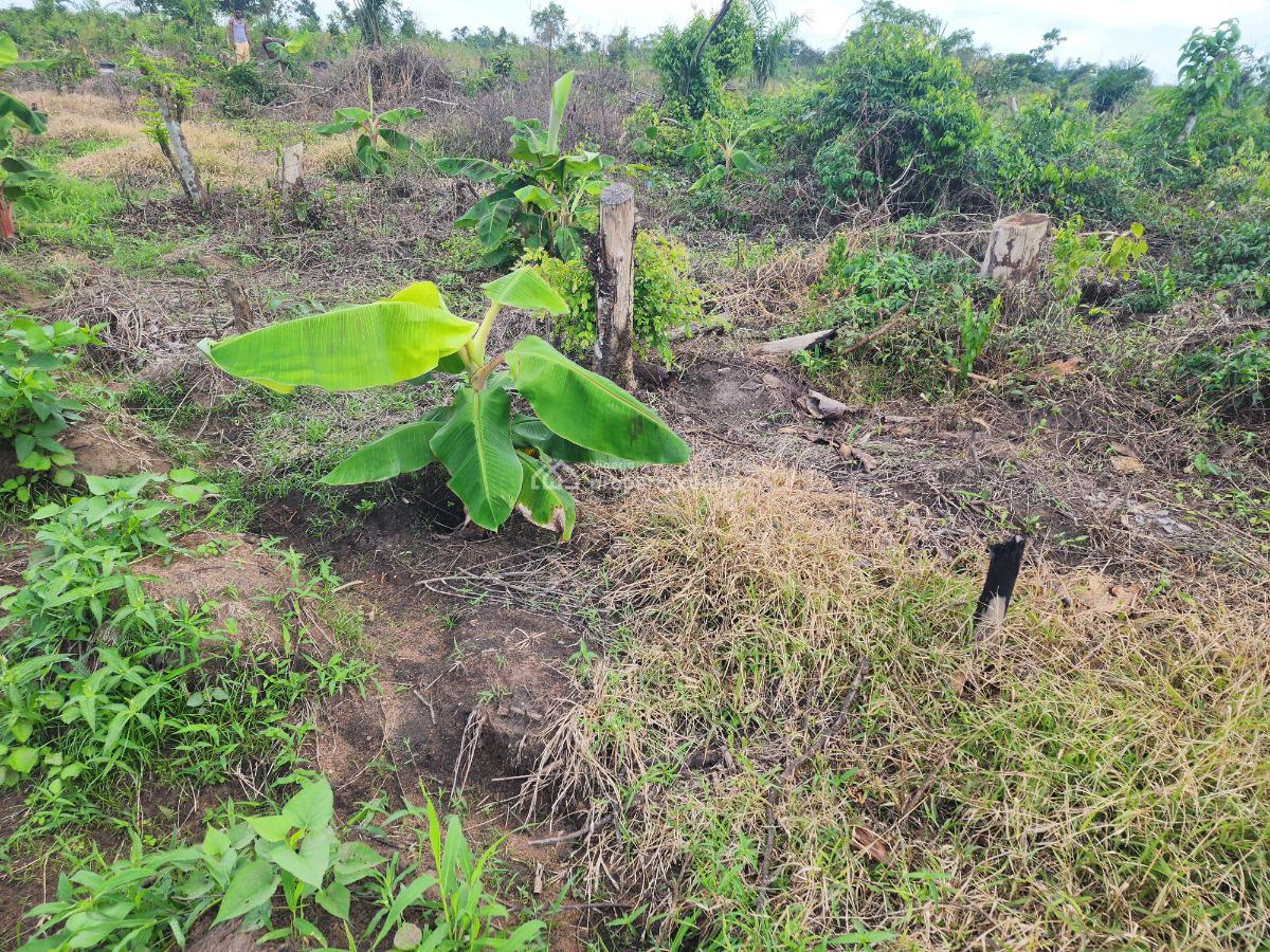 Own Acres of 100% Fertile Land Suitable for Plantain Farming, Off Funaab, Alabata Road, Odeda, Ogun, Mixed-use Land for Sale