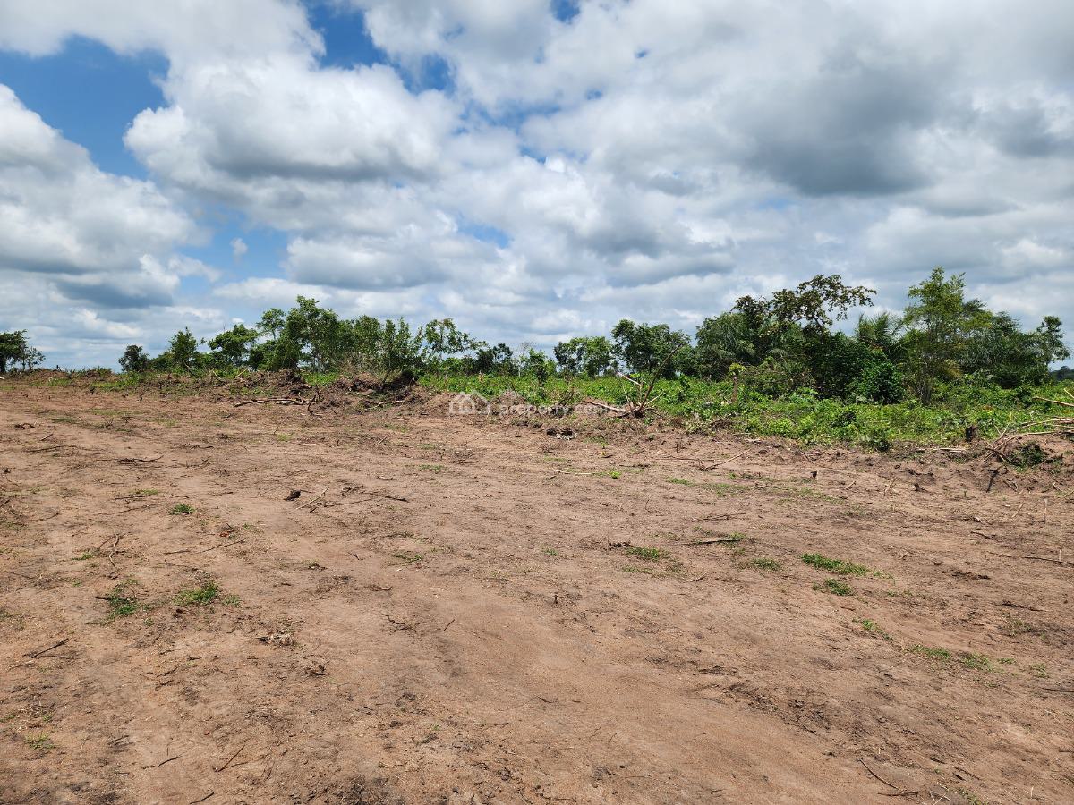 High Yield Farmland Selling Fast with a Promo Offer, Off Funaab, Alabata Road, Odeda, Ogun, Mixed-use Land for Sale