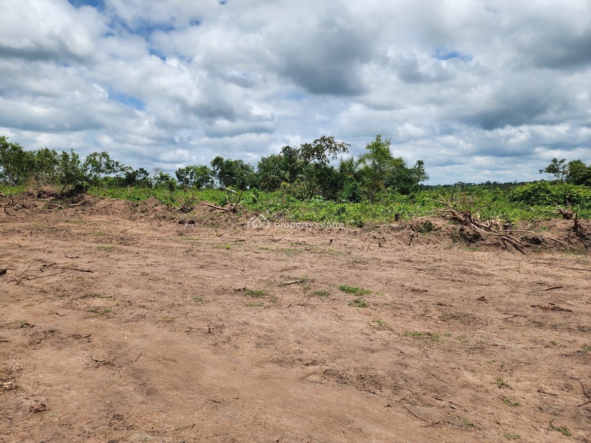 High Yield Farmland Selling Fast with a Promo Offer, Off Funaab, Alabata Road, Odeda, Ogun, Mixed-use Land for Sale