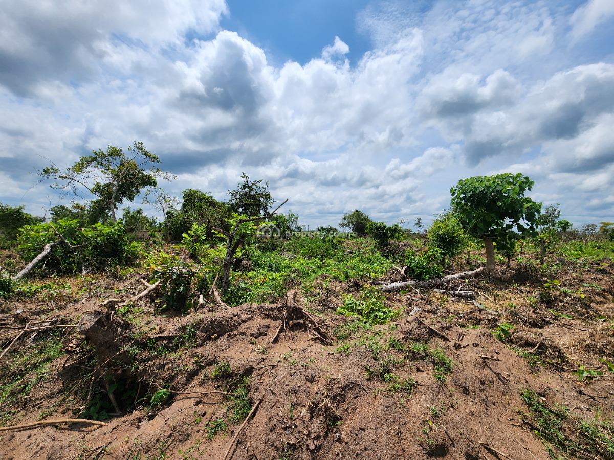 Make Money From Farming Without Doing The Work, Off Funaab, Alabata Road, Odeda, Ogun, Mixed-use Land for Sale