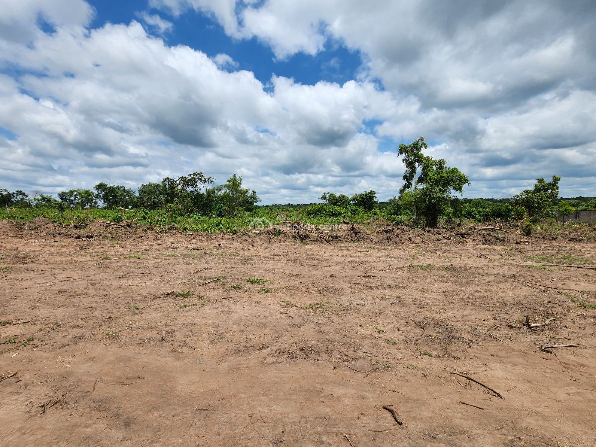 Make Money From Farming Without Doing The Work, Off Funaab, Alabata Road, Odeda, Ogun, Mixed-use Land for Sale
