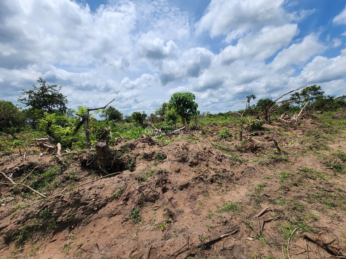 Make Money From Farming Without Doing The Work, Off Funaab, Alabata Road, Odeda, Ogun, Mixed-use Land for Sale