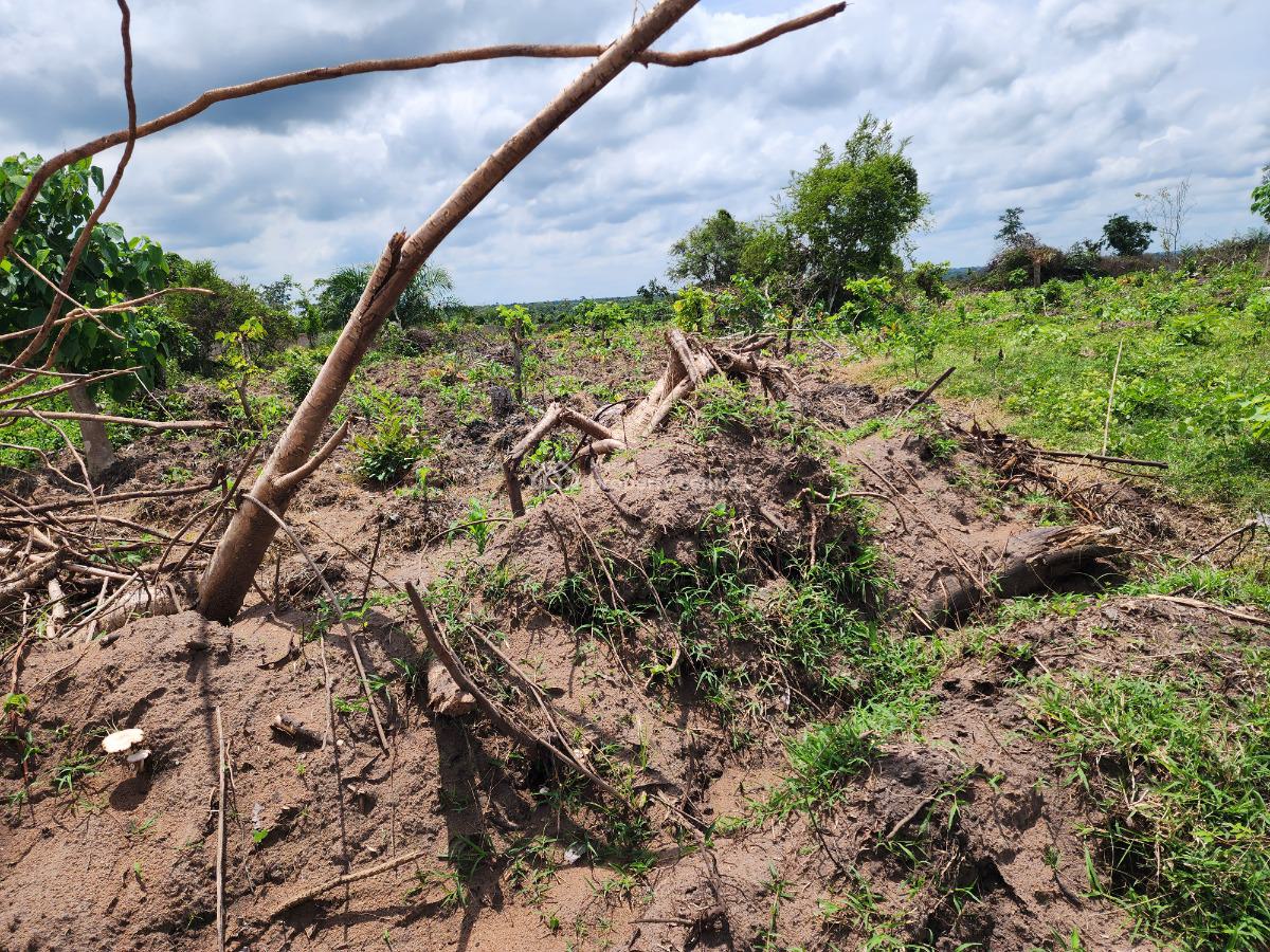 Invest in Agriculture and Watch Your Money Grow, Off Funaab, Alabata Road, Odeda, Ogun, Mixed-use Land for Sale