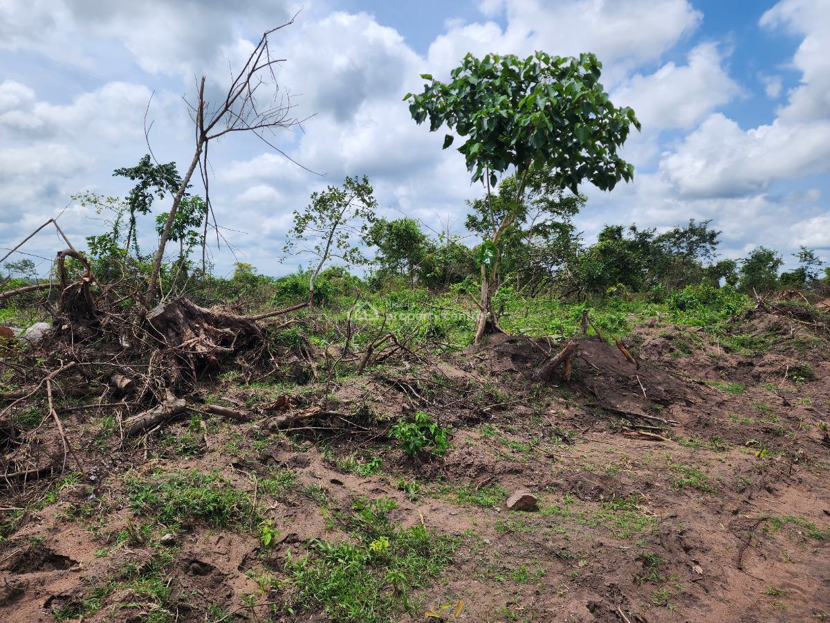 Profitable Farmland with Flexible Payment and High Returns, Off Funaab, Alabata Road, Odeda, Ogun, Mixed-use Land for Sale