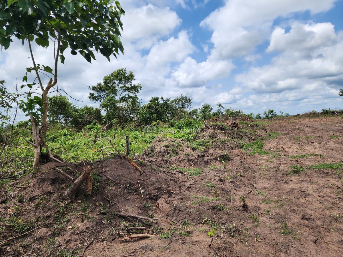 Profitable Farmland with Flexible Payment and High Returns, Off Funaab, Alabata Road, Odeda, Ogun, Mixed-use Land for Sale