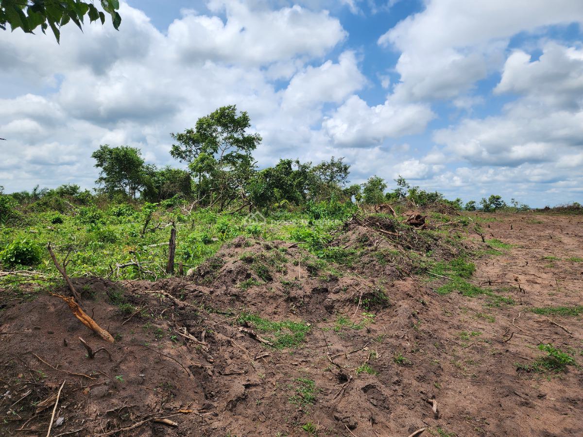 Profitable Farmland with Flexible Payment and High Returns, Off Funaab, Alabata Road, Odeda, Ogun, Mixed-use Land for Sale