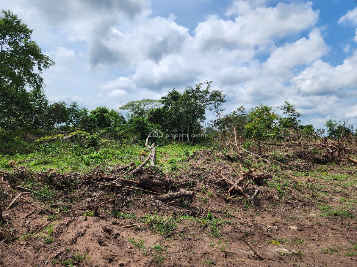 Own 100% Fertile Farmland, Ideal for Cocoa Farming, Off Funaab, Alabata Road, Odeda, Ogun, Mixed-use Land for Sale