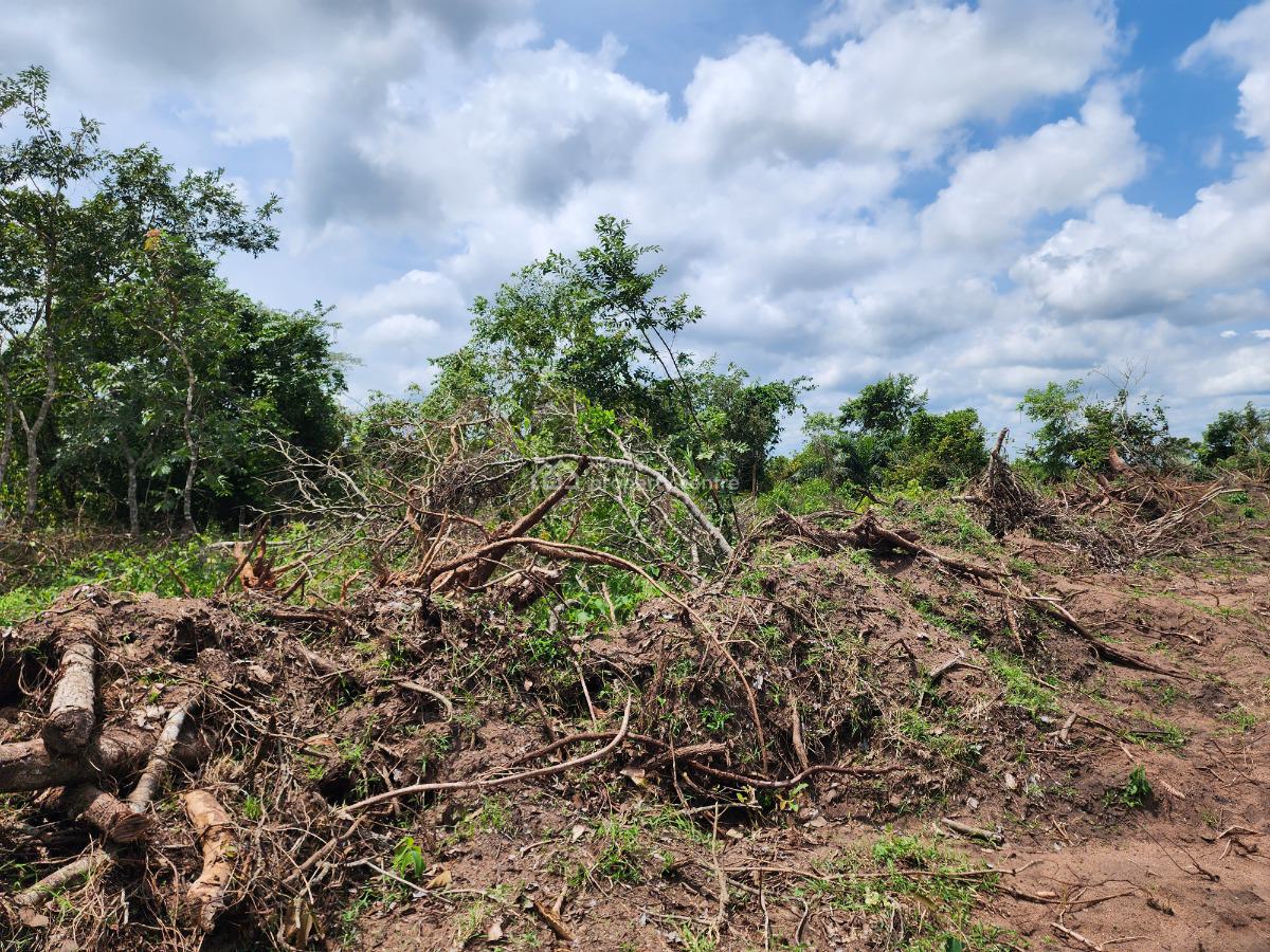 Own 100% Fertile Farmland, Ideal for Cocoa Farming, Off Funaab, Alabata Road, Odeda, Ogun, Mixed-use Land for Sale