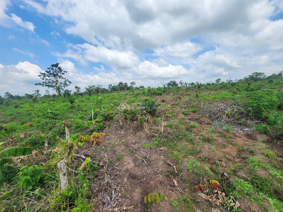 Acres of Farmland with a Promo Offer Suitable for Plantain Farming, Off Funaab, Alabata Road, Odeda, Ogun, Mixed-use Land for Sale