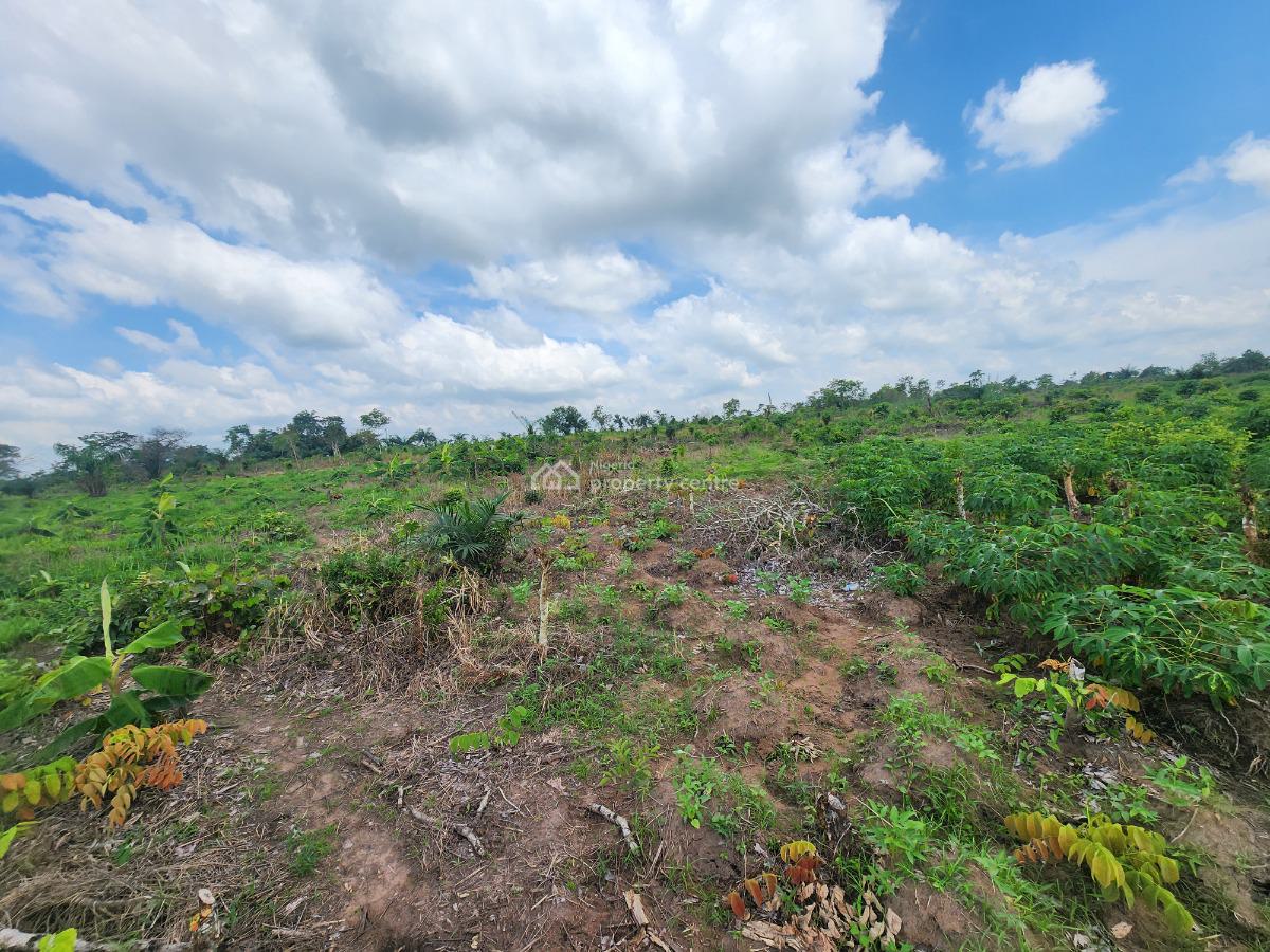Acres of Farmland with a Promo Offer Suitable for Plantain Farming, Off Funaab, Alabata Road, Odeda, Ogun, Mixed-use Land for Sale