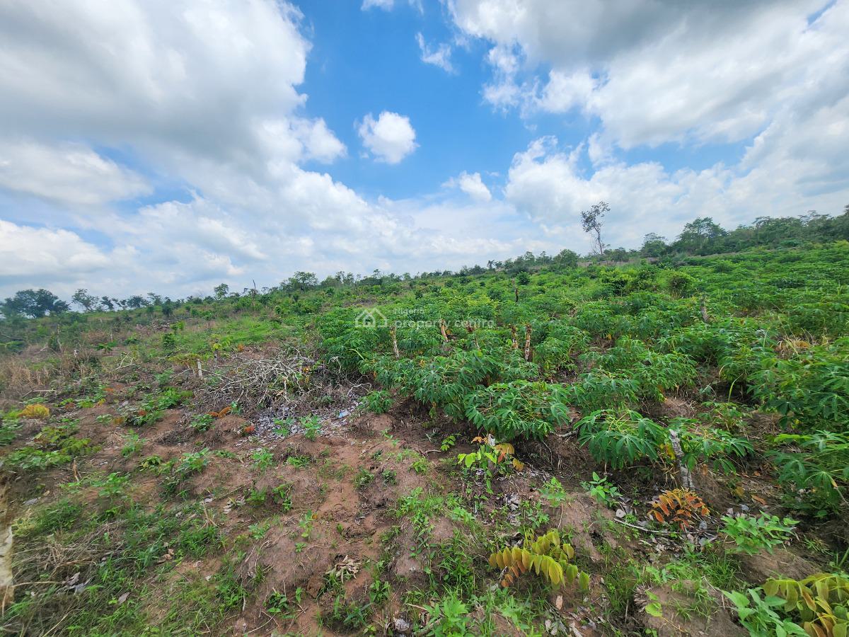 Acres of Farmland with a Promo Offer Suitable for Plantain Farming, Off Funaab, Alabata Road, Odeda, Ogun, Mixed-use Land for Sale