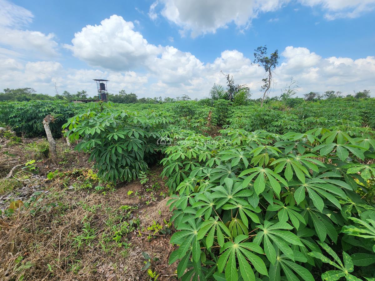 Own Productive Farmland Suitable for Cassava Farming, Off Funaab, Alabata Road, Odeda, Ogun, Mixed-use Land for Sale