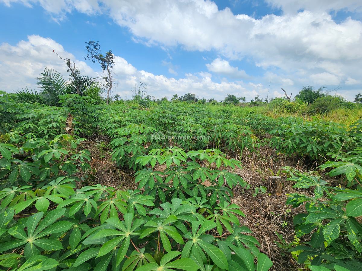 Own Productive Farmland Suitable for Cassava Farming, Off Funaab, Alabata Road, Odeda, Ogun, Mixed-use Land for Sale