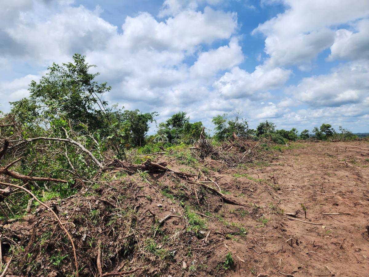 Own Affordable, Fertile Farmland Ideal for Cashew Farming, Off Funaab, Alabata Road, Odeda, Ogun, Mixed-use Land for Sale