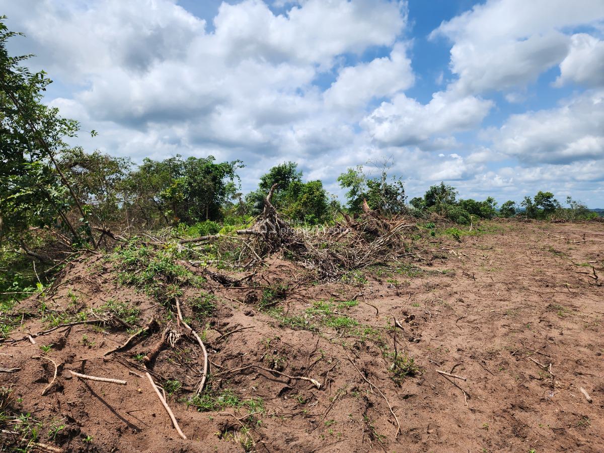 Own Affordable, Fertile Farmland Ideal for Cashew Farming, Off Funaab, Alabata Road, Odeda, Ogun, Mixed-use Land for Sale