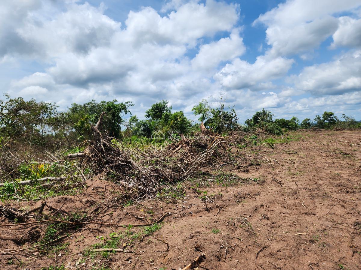 Own Affordable, Fertile Farmland Ideal for Cashew Farming, Off Funaab, Alabata Road, Odeda, Ogun, Mixed-use Land for Sale