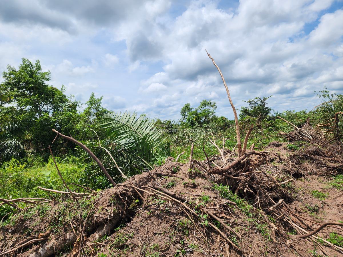 Get Your Own Farmland and Start Cultivating Oil Palm, Off Funaab, Alabata Road, Odeda, Ogun, Mixed-use Land for Sale