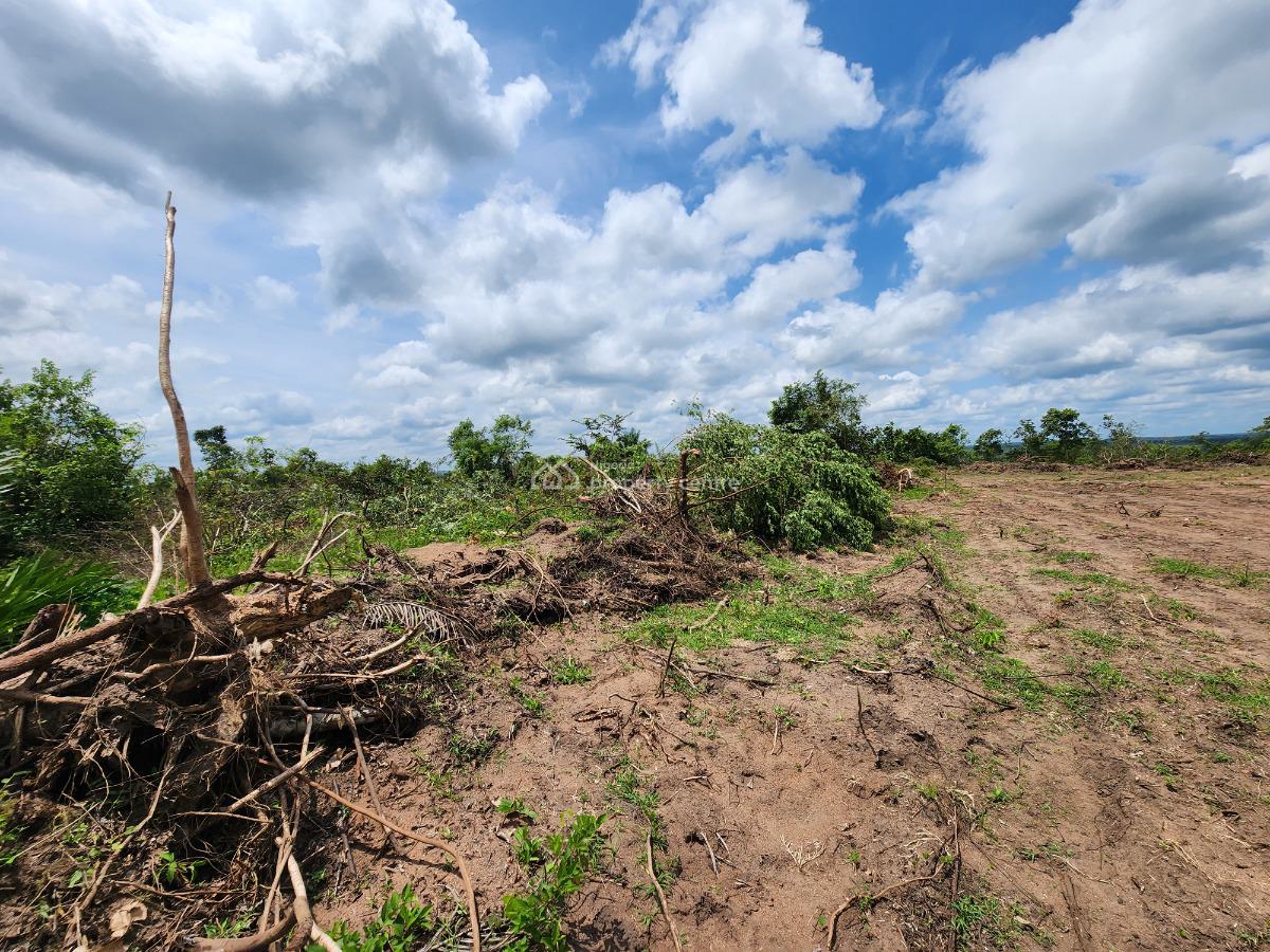Get Your Own Farmland and Start Cultivating Oil Palm, Off Funaab, Alabata Road, Odeda, Ogun, Mixed-use Land for Sale