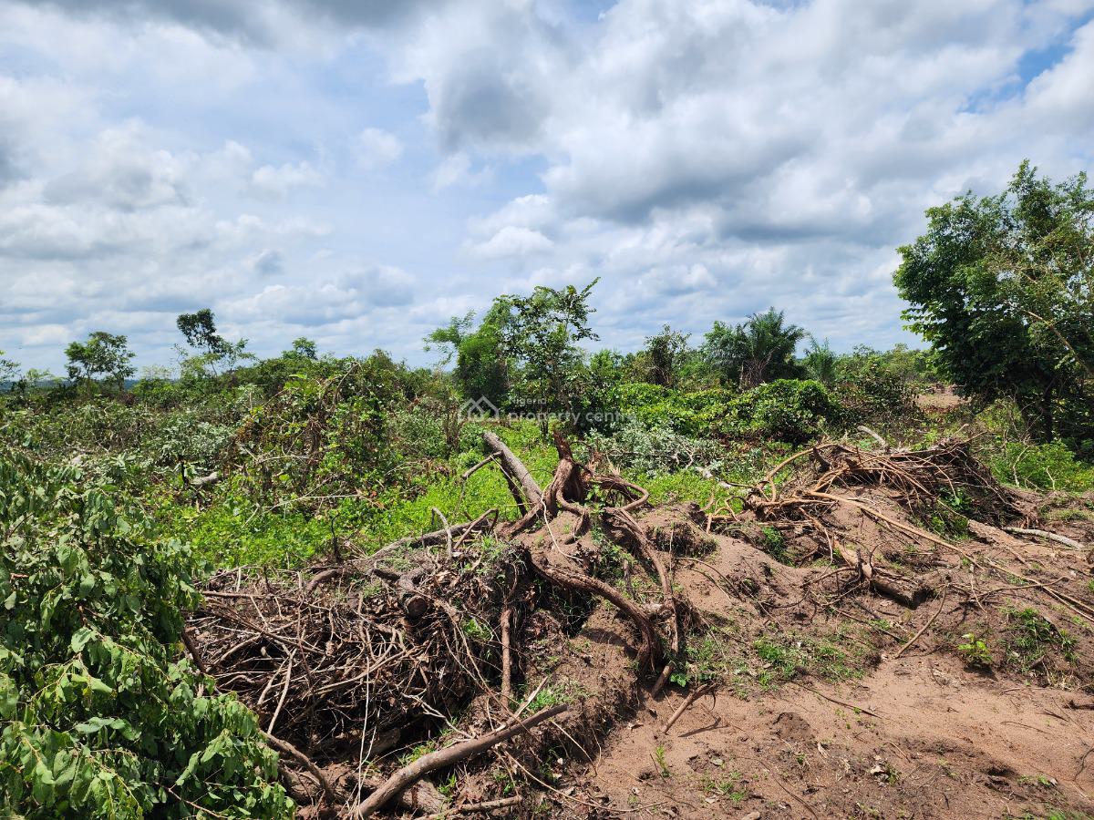Get Your Own Farmland and Start Cultivating Oil Palm, Off Funaab, Alabata Road, Odeda, Ogun, Mixed-use Land for Sale