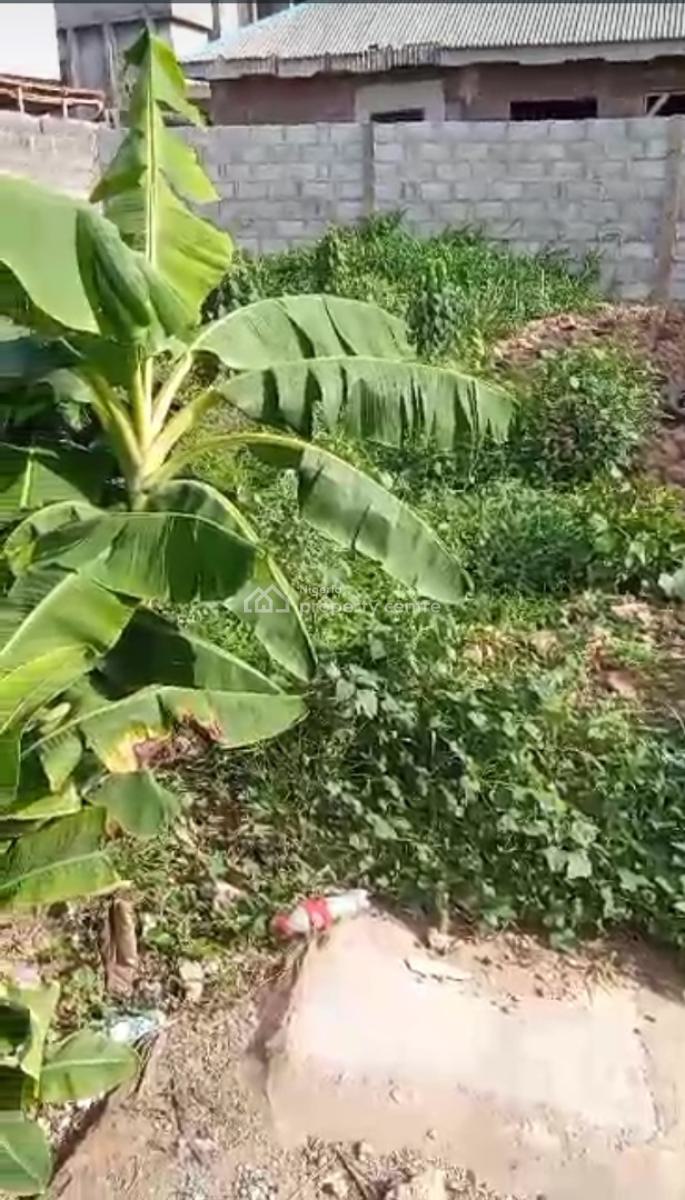 Half Plot of Land in a Good Location,gbadamosi Opesa,ipaja, Gbadamosi Opesa Area, Abesan, Ipaja, Lagos, Residential Land for Sale