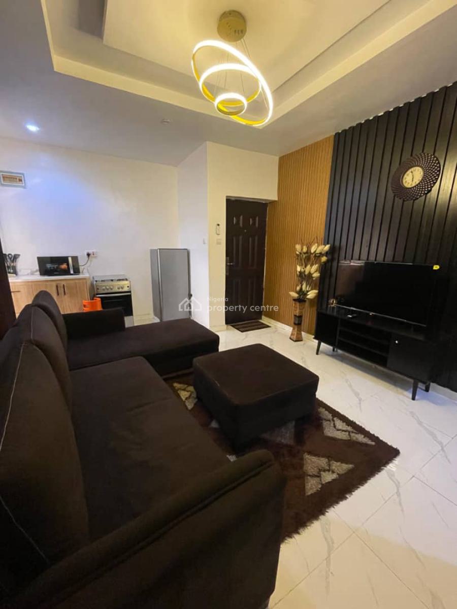 Cozy 1 Bedroom Apartment, Surulere, Lagos, Mini Flat (room and Parlour) Short Let