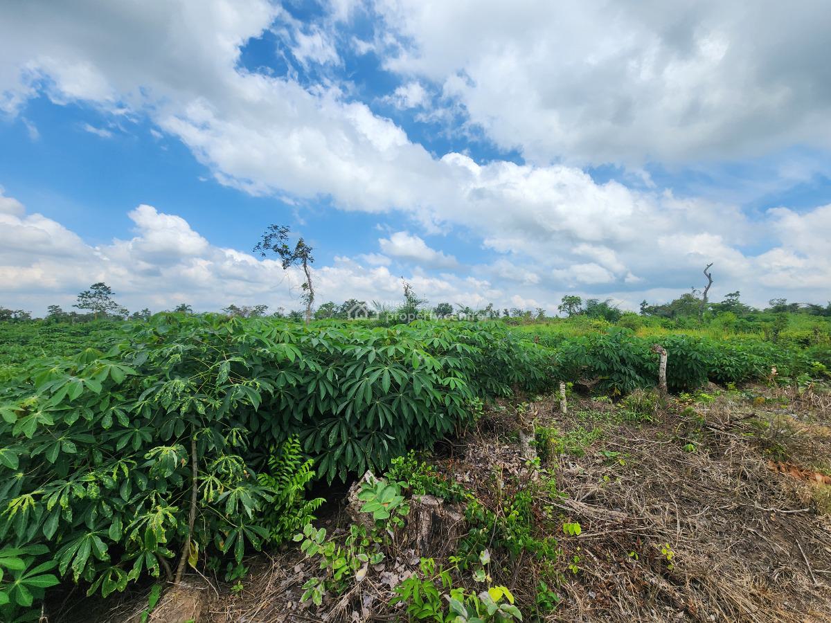 Get Your Own Farmland and Start Cultivating Cassava, Off Funaab, Alabata Road, Odeda, Ogun, Mixed-use Land for Sale
