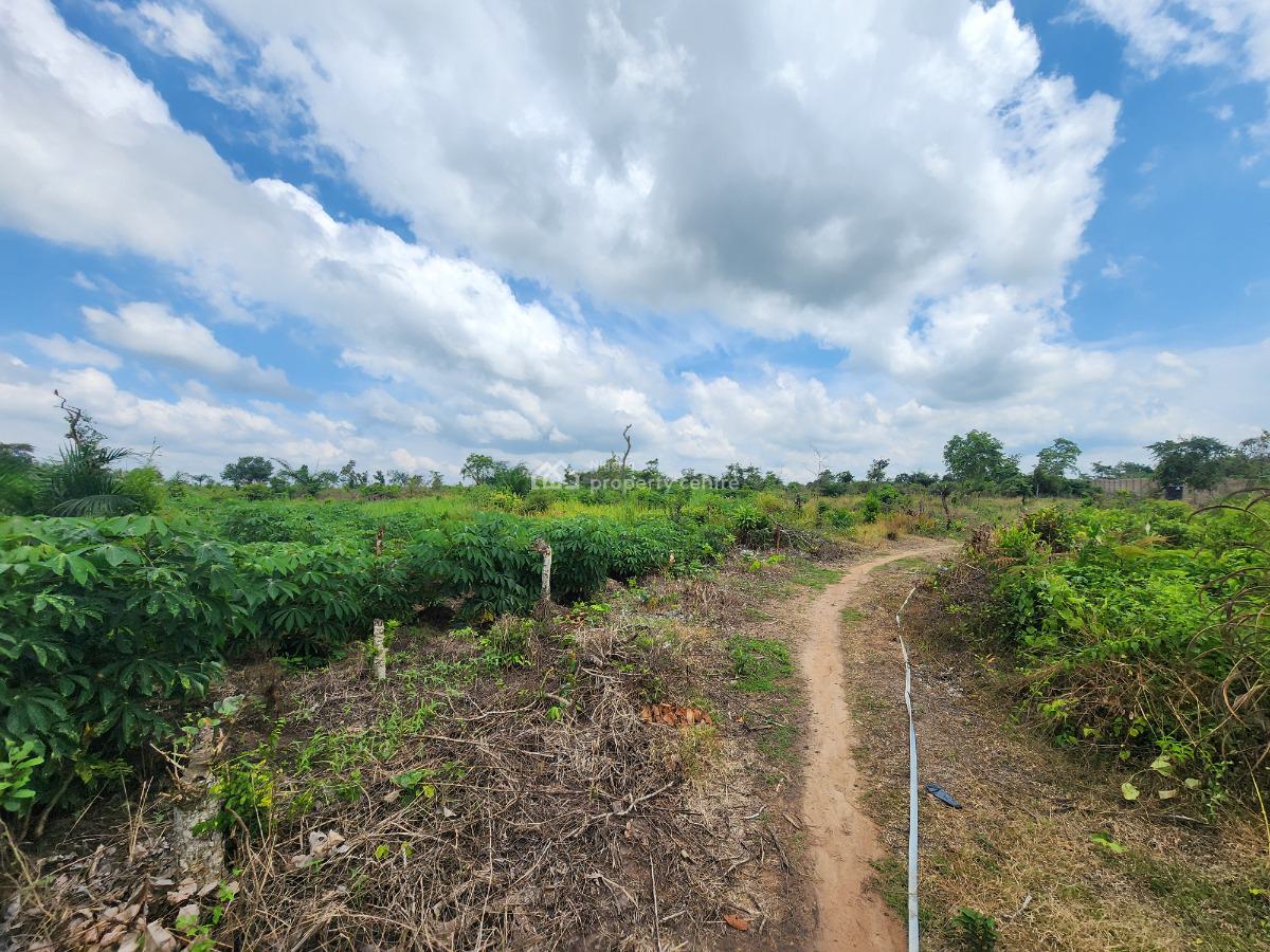 Get Your Own Farmland and Start Cultivating Cassava, Off Funaab, Alabata Road, Odeda, Ogun, Mixed-use Land for Sale