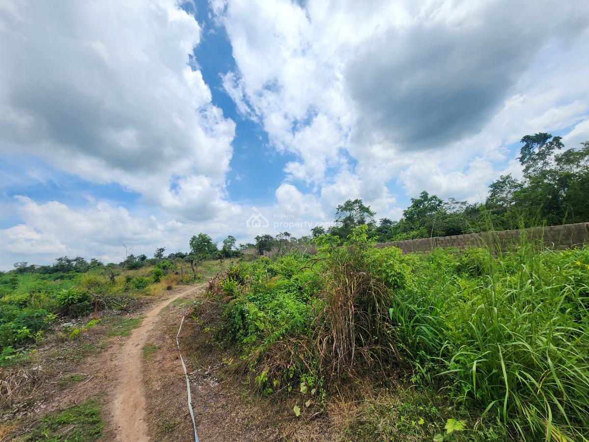 Get Your Own Farmland and Start Cultivating Cassava, Off Funaab, Alabata Road, Odeda, Ogun, Mixed-use Land for Sale