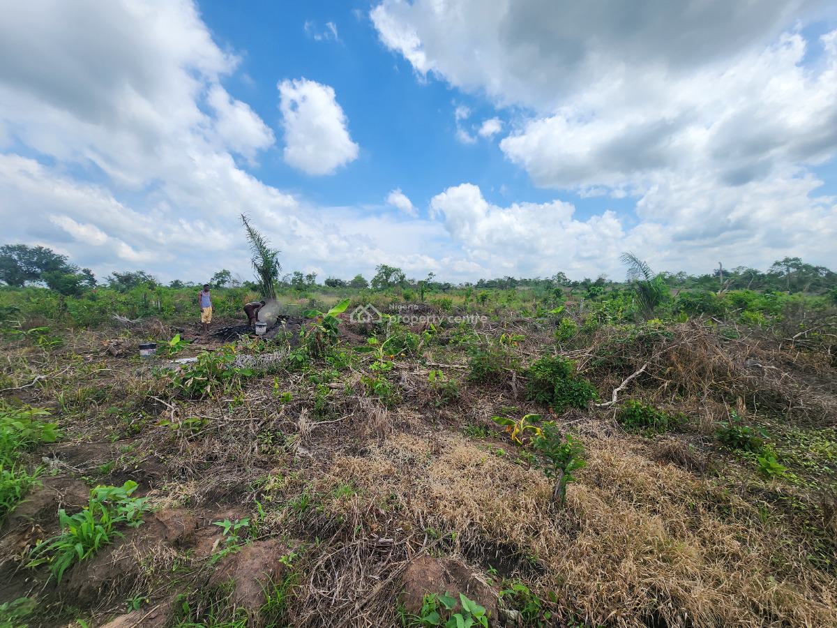 Own Productive Farmland Suitable for Plantain Farming, Off Funaab, Alabata Road, Odeda, Ogun, Mixed-use Land for Sale
