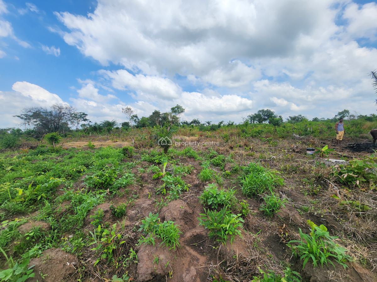 Own Productive Farmland Suitable for Plantain Farming, Off Funaab, Alabata Road, Odeda, Ogun, Mixed-use Land for Sale