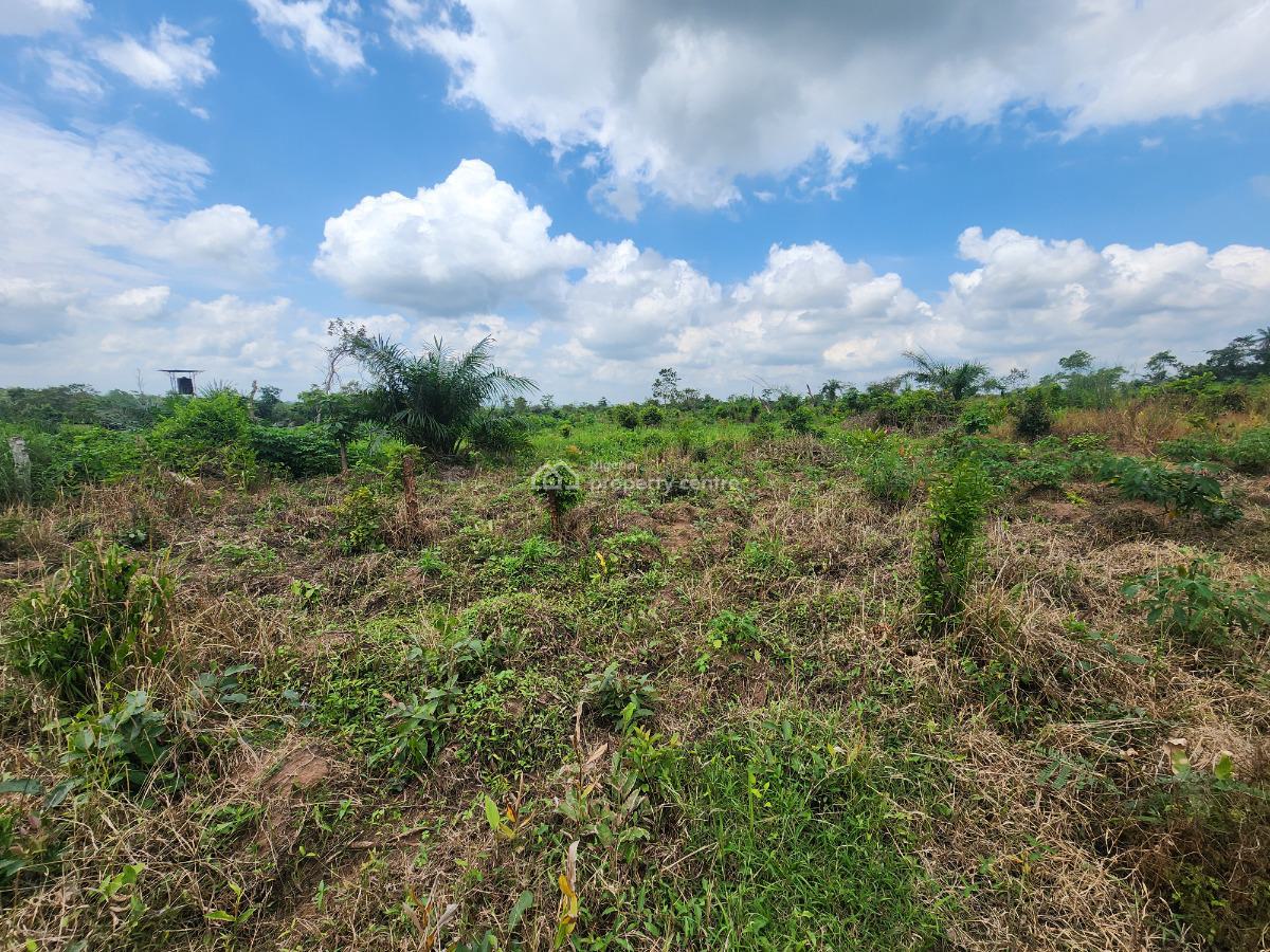 Let Your Money Work for You Through Agriculture, Off Funaab, Alabata Road, Odeda, Ogun, Mixed-use Land for Sale