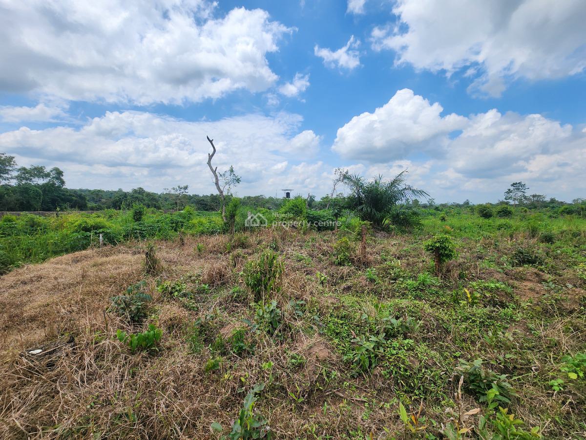 Let Your Money Work for You Through Agriculture, Off Funaab, Alabata Road, Odeda, Ogun, Mixed-use Land for Sale