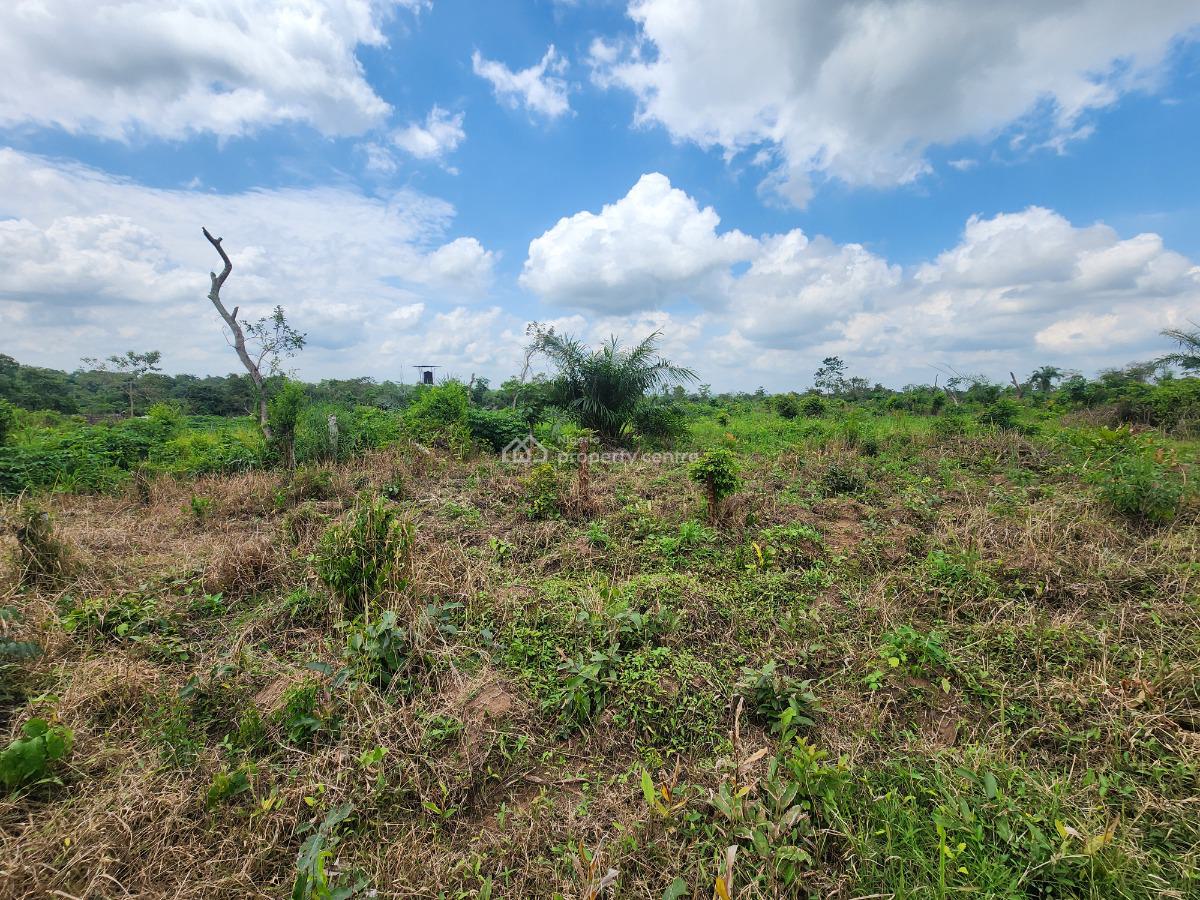Let Your Money Work for You Through Agriculture, Off Funaab, Alabata Road, Odeda, Ogun, Mixed-use Land for Sale