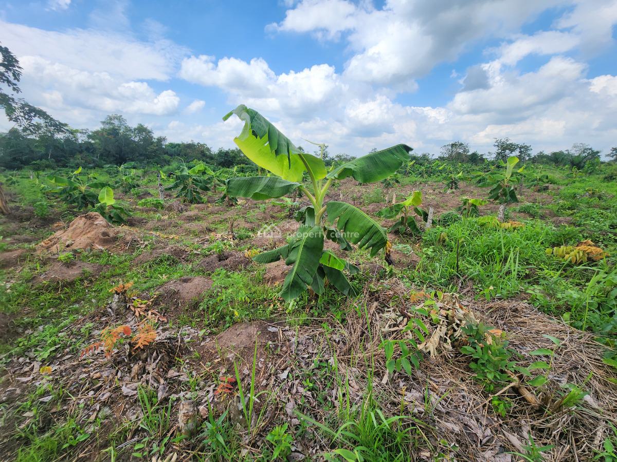Get Your Own Farmland and Start Cultivating Plantain, Off Funaab, Alabata Road, Odeda, Ogun, Mixed-use Land for Sale