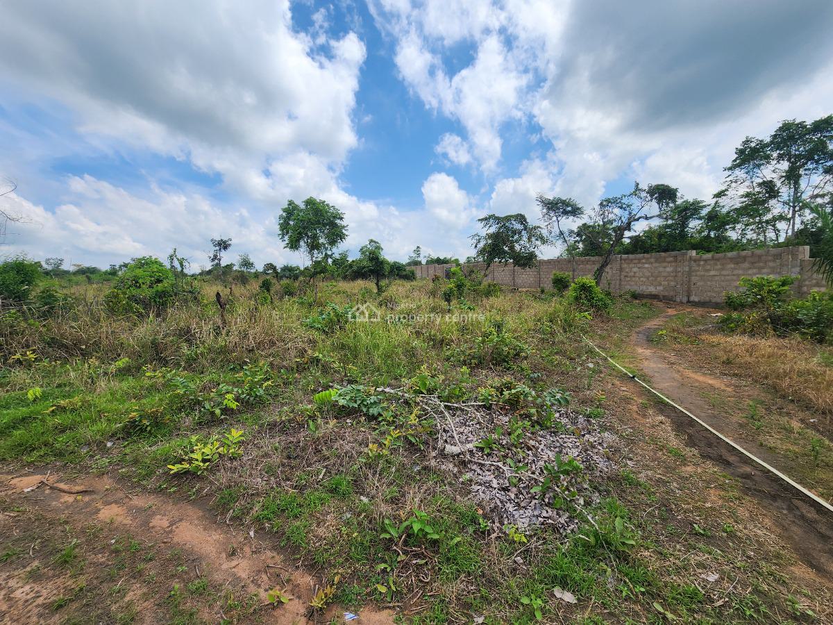 a Farmland That Brings Income, Not Stress, Off Funaab, Alabata Road, Odeda, Ogun, Mixed-use Land for Sale