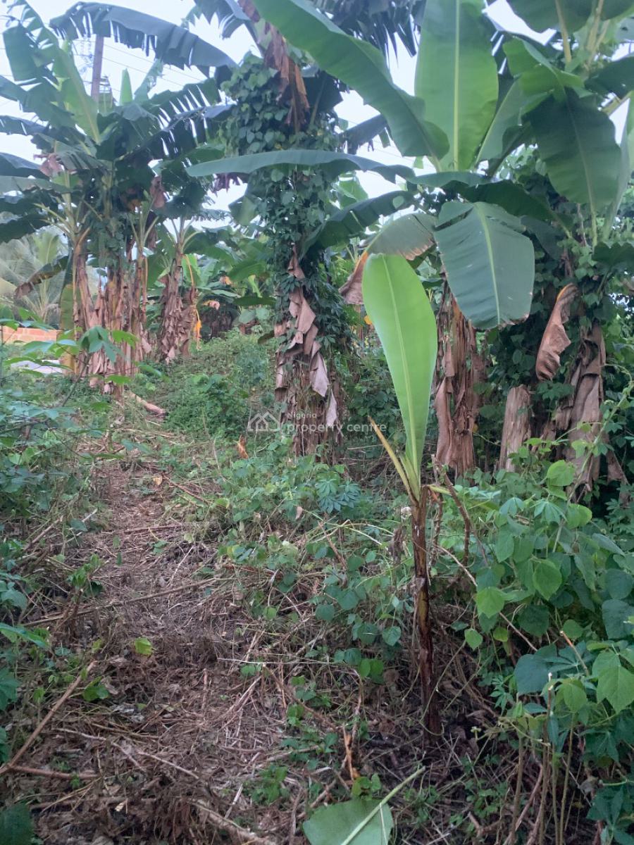 a Parcel of Land, Nung Ettet, Uyo, Akwa Ibom, Mixed-use Land for Sale